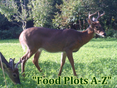 Food Plots