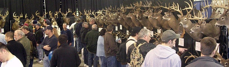 Big Buck Display